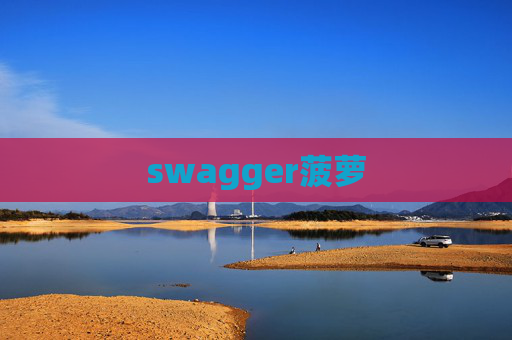 swagger菠萝
